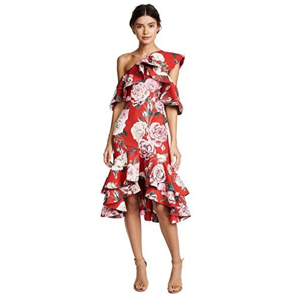 NWT FAME AND PARTNERS Natasha Dress - Spiced Red - 12